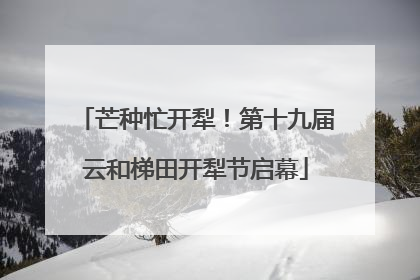 芒种忙开犁！第十九届云和梯田开犁节启幕