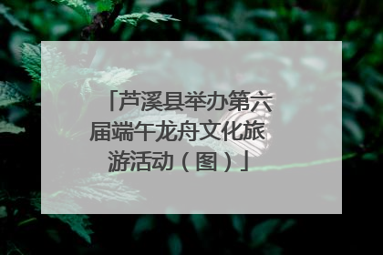 芦溪县举办第六届端午龙舟文化旅游活动（图）