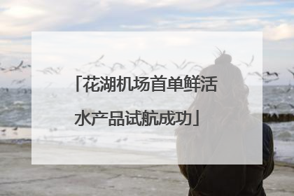 花湖机场首单鲜活水产品试航成功