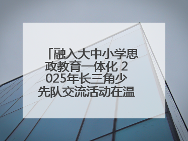 融入大中小学思政教育一体化 2025年长三角少先队交流活动在温岭举办