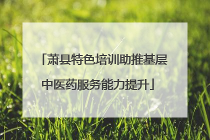 萧县特色培训助推基层中医药服务能力提升