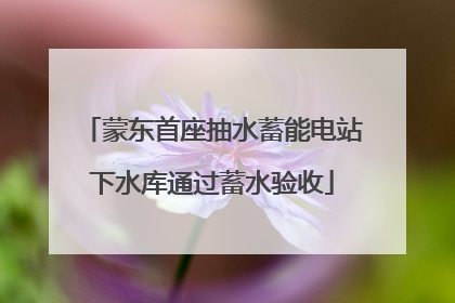 蒙东首座抽水蓄能电站下水库通过蓄水验收