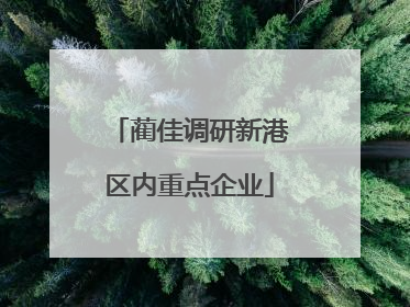 蔺佳调研新港区内重点企业