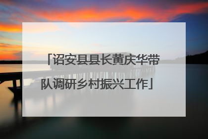 诏安县县长黄庆华带队调研乡村振兴工作