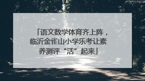 语文数学体育齐上阵，临沂金雀山小学乐考让素养测评“活”起来