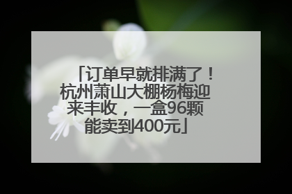 订单早就排满了！杭州萧山大棚杨梅迎来丰收，一盒96颗能卖到400元
