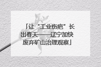 让“工业伤疤”长出春天——辽宁加快废弃矿山治理观察
