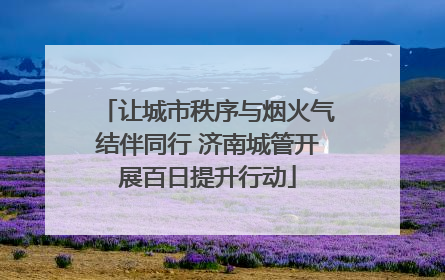 让城市秩序与烟火气结伴同行 济南城管开展百日提升行动