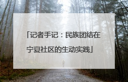 记者手记：民族团结在宁夏社区的生动实践