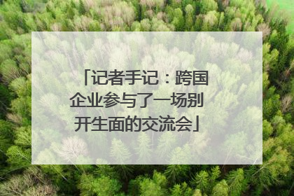 记者手记：跨国企业参与了一场别开生面的交流会