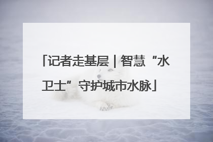 记者走基层｜智慧“水卫士”守护城市水脉