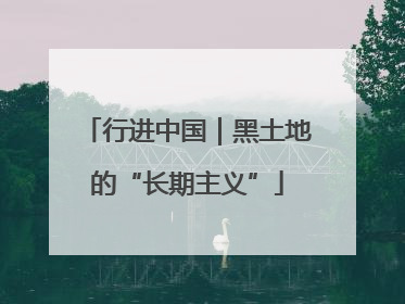 行进中国｜黑土地的“长期主义”