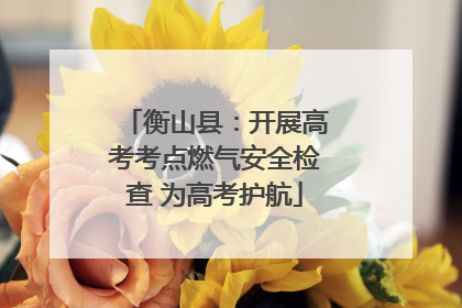 衡山县：开展高考考点燃气安全检查 为高考护航