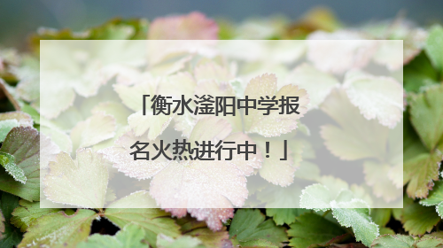 衡水滏阳中学报名火热进行中！