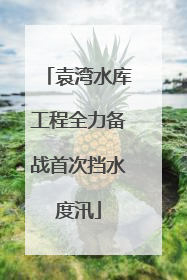 袁湾水库工程全力备战首次挡水度汛