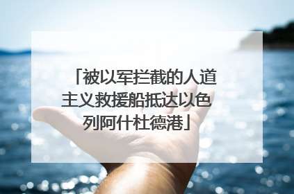 被以军拦截的人道主义救援船抵达以色列阿什杜德港