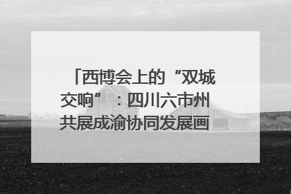 西博会上的“双城交响”：四川六市州共展成渝协同发展画卷｜西博视界