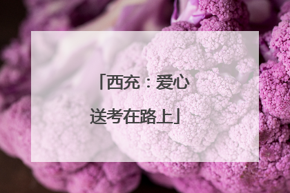 西充：爱心送考在路上