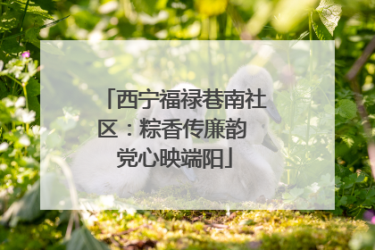 西宁福禄巷南社区：粽香传廉韵 党心映端阳