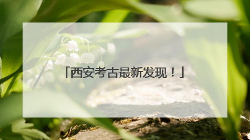 西安考古最新发现！