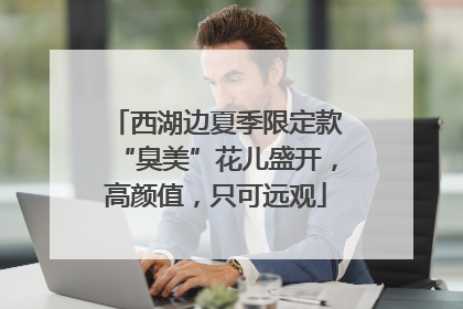 西湖边夏季限定款“臭美”花儿盛开，高颜值，只可远观