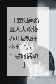 襄阳高新区人大政协办开展魏庄小学“六一”慰问活动
