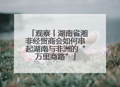 观察丨湖南省湘非经贸商会如何串起湖南与非洲的“万里商路”