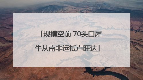 规模空前 70头白犀牛从南非运抵卢旺达