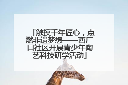 触摸千年匠心，点燃非遗梦想——西厂口社区开展青少年陶艺科技研学活动
