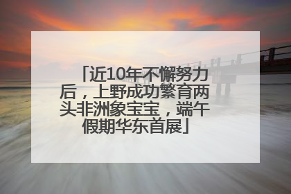 近10年不懈努力后，上野成功繁育两头非洲象宝宝，端午假期华东首展