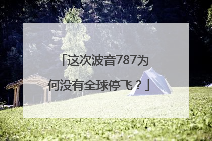 这次波音787为何没有全球停飞？
