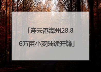 连云港海州28.86万亩小麦陆续开镰