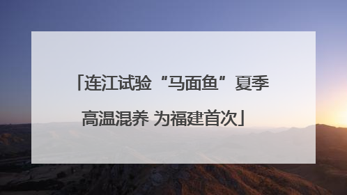 连江试验“马面鱼”夏季高温混养 为福建首次