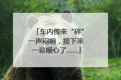车内传来“砰”一声闷响，接下来一幕暖心了……