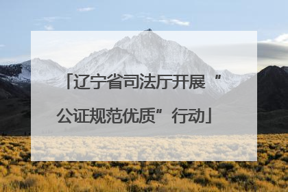 辽宁省司法厅开展“公证规范优质”行动