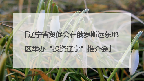 辽宁省贸促会在俄罗斯远东地区举办“投资辽宁”推介会