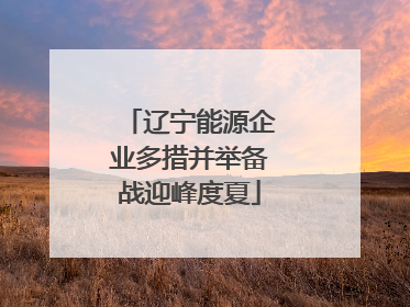 辽宁能源企业多措并举备战迎峰度夏