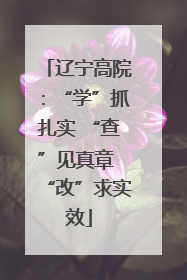 辽宁高院：“学”抓扎实 “查”见真章 “改”求实效