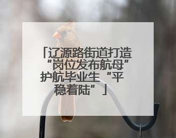 辽源路街道打造“岗位发布航母” 护航毕业生“平稳着陆”