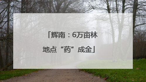 辉南：6万亩林地点“药”成金