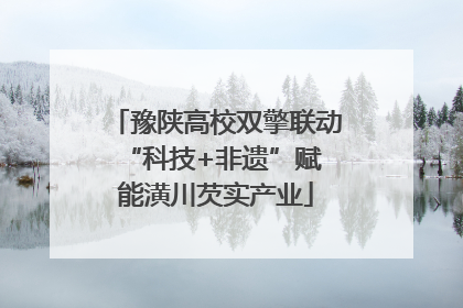 豫陕高校双擎联动 “科技+非遗”赋能潢川芡实产业
