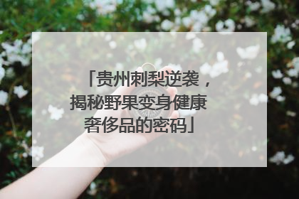 贵州刺梨逆袭，揭秘野果变身健康奢侈品的密码
