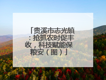 贵溪市志光镇：抢抓农时促丰收，科技赋能保粮安（图）