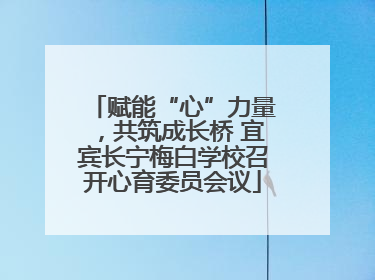赋能“心”力量，共筑成长桥 宜宾长宁梅白学校召开心育委员会议