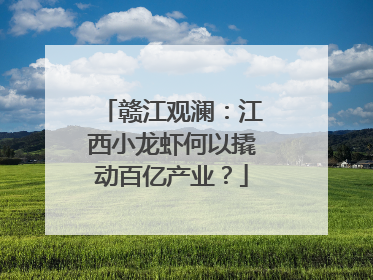 赣江观澜：江西小龙虾何以撬动百亿产业？