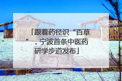 跟着药径识“百草”，宁波首条中医药研学步道发布