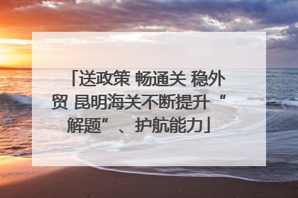 送政策 畅通关 稳外贸 昆明海关不断提升“解题”、护航能力