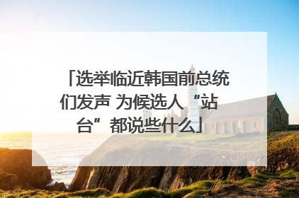 选举临近韩国前总统们发声 为候选人“站台”都说些什么