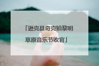 逊克县奇克镇黎明草原音乐节收官