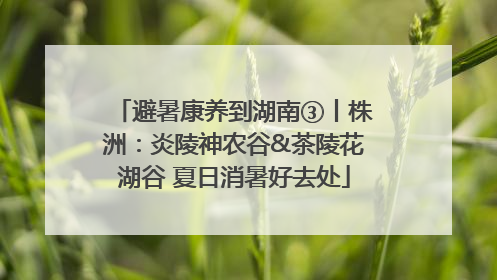 避暑康养到湖南③丨株洲：炎陵神农谷&茶陵花湖谷 夏日消暑好去处